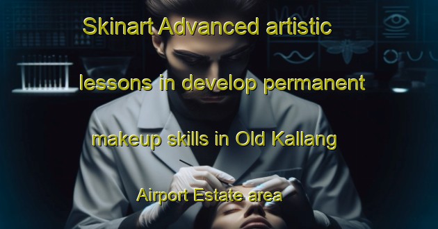 Skinart Advanced artistic lessons in develop permanent makeup skills in Old Kallang Airport Estate area | PermanentmakeupTraining | PermanentmakeupClasses | SkinartTraining-Singapore