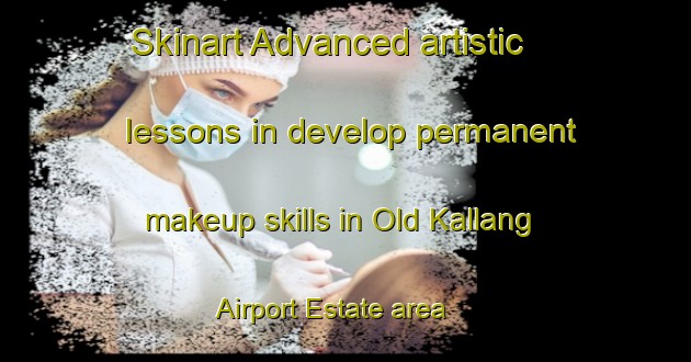 Skinart Advanced artistic lessons in develop permanent makeup skills in Old Kallang Airport Estate area | PermanentmakeupTraining | PermanentmakeupClasses | SkinartTraining-Singapore