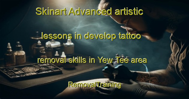 Skinart Advanced artistic lessons in develop tattoo removal skills in Yew Tee area | RemovalTraining | RemovalClasses | SkinartTraining-Singapore