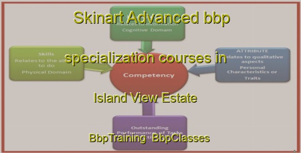 Skinart Advanced bbp specialization courses in Island View Estate | BbpTraining | BbpClasses | SkinartTraining-Singapore