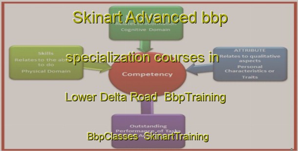Skinart Advanced bbp specialization courses in Lower Delta Road | BbpTraining | BbpClasses | SkinartTraining-Singapore