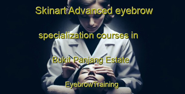 Skinart Advanced eyebrow specialization courses in Bukit Panjang Estate | EyebrowTraining | EyebrowClasses | SkinartTraining-Singapore