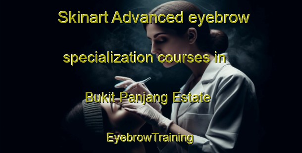 Skinart Advanced eyebrow specialization courses in Bukit Panjang Estate | EyebrowTraining | EyebrowClasses | SkinartTraining-Singapore