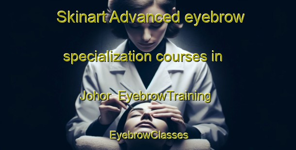 Skinart Advanced eyebrow specialization courses in Johor | EyebrowTraining | EyebrowClasses | SkinartTraining-Singapore