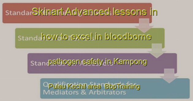 Skinart Advanced lessons in how to excel in bloodborne pathogen safety in Kampong Pulau Kechil area | BbpTraining | BbpClasses | SkinartTraining-Singapore