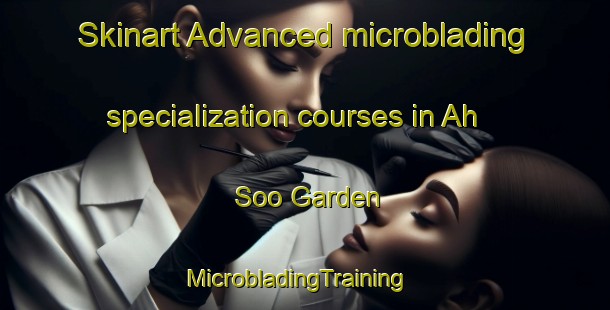 Skinart Advanced microblading specialization courses in Ah Soo Garden | MicrobladingTraining | MicrobladingClasses | SkinartTraining-Singapore