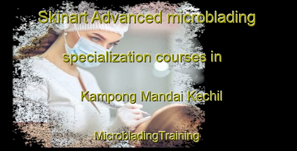 Skinart Advanced microblading specialization courses in Kampong Mandai Kechil | #MicrobladingTraining #MicrobladingClasses #SkinartTraining-Singapore