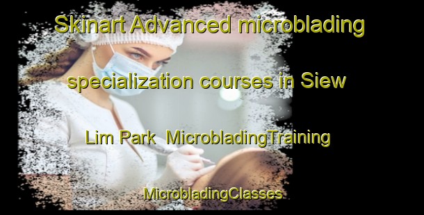 Skinart Advanced microblading specialization courses in Siew Lim Park | #MicrobladingTraining #MicrobladingClasses #SkinartTraining-Singapore