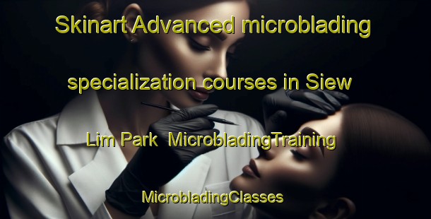 Skinart Advanced microblading specialization courses in Siew Lim Park | MicrobladingTraining | MicrobladingClasses | SkinartTraining-Singapore