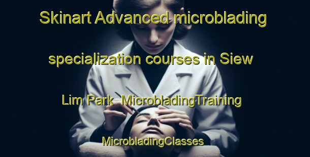 Skinart Advanced microblading specialization courses in Siew Lim Park | MicrobladingTraining | MicrobladingClasses | SkinartTraining-Singapore