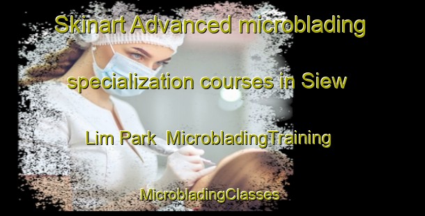 Skinart Advanced microblading specialization courses in Siew Lim Park | MicrobladingTraining | MicrobladingClasses | SkinartTraining-Singapore