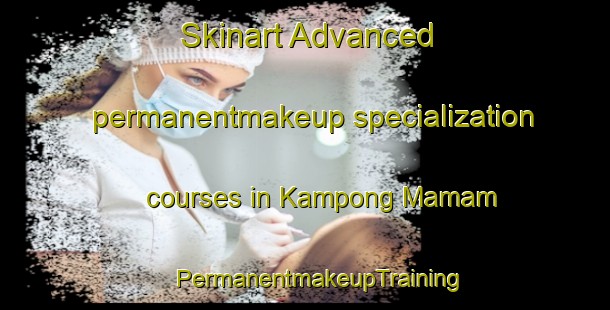 Skinart Advanced permanentmakeup specialization courses in Kampong Mamam | #PermanentmakeupTraining #PermanentmakeupClasses #SkinartTraining-Singapore