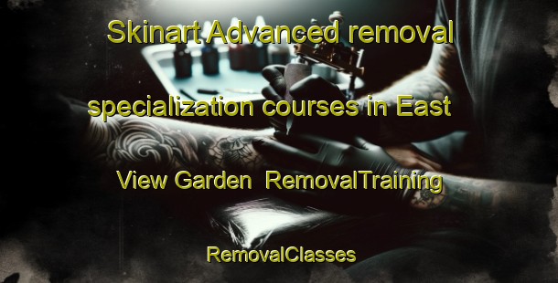 Skinart Advanced removal specialization courses in East View Garden | RemovalTraining | RemovalClasses | SkinartTraining-Singapore