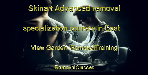 Skinart Advanced removal specialization courses in East View Garden | RemovalTraining | RemovalClasses | SkinartTraining-Singapore