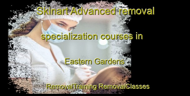 Skinart Advanced removal specialization courses in Eastern Gardens | #RemovalTraining #RemovalClasses #SkinartTraining-Singapore