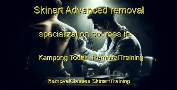 Skinart Advanced removal specialization courses in Kampong Todak | #RemovalTraining #RemovalClasses #SkinartTraining-Singapore