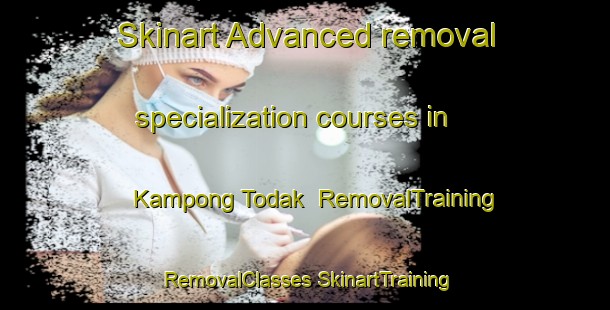 Skinart Advanced removal specialization courses in Kampong Todak | #RemovalTraining #RemovalClasses #SkinartTraining-Singapore