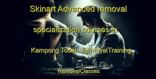 Skinart Advanced removal specialization courses in Kampong Todak | RemovalTraining | RemovalClasses | SkinartTraining-Singapore