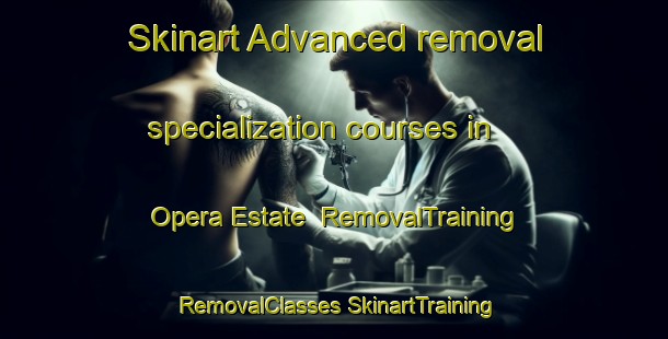 Skinart Advanced removal specialization courses in Opera Estate | #RemovalTraining #RemovalClasses #SkinartTraining-Singapore