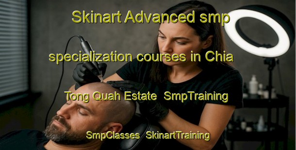 Skinart Advanced smp specialization courses in Chia Tong Quah Estate | SmpTraining | SmpClasses | SkinartTraining-Republic of Singapore
