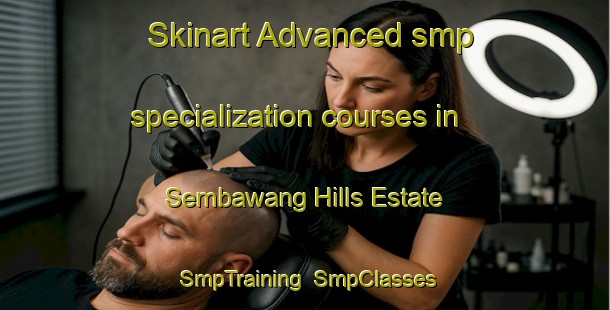 Skinart Advanced smp specialization courses in Sembawang Hills Estate | SmpTraining | SmpClasses | SkinartTraining-Singapore