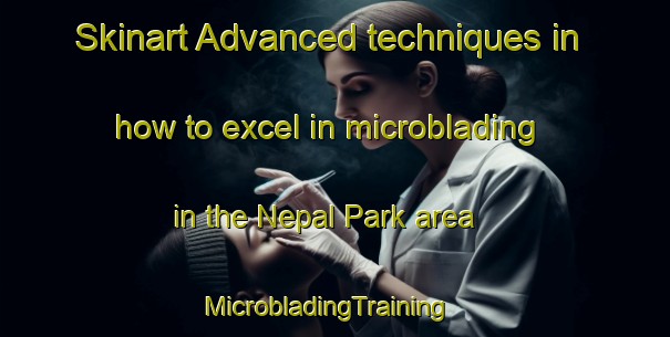 Skinart Advanced techniques in how to excel in microblading in the Nepal Park area | MicrobladingTraining | MicrobladingClasses | SkinartTraining-Singapore