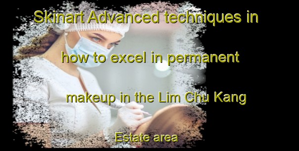Skinart Advanced techniques in how to excel in permanent makeup in the Lim Chu Kang Estate area | PermanentmakeupTraining | PermanentmakeupClasses | SkinartTraining-Singapore