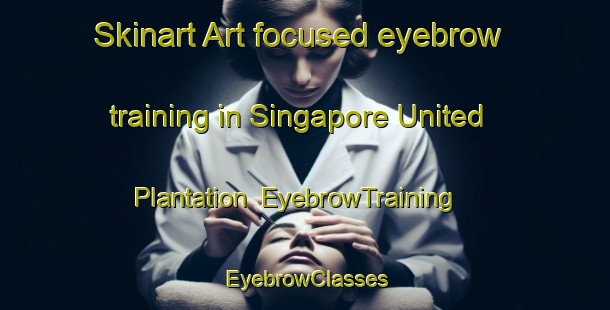 Skinart Art-focused eyebrow training in Singapore United Plantation | EyebrowTraining | EyebrowClasses | SkinartTraining-Singapore