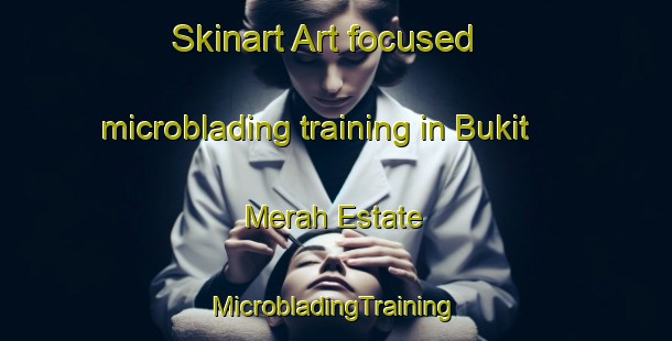 Skinart Art-focused microblading training in Bukit Merah Estate | #MicrobladingTraining #MicrobladingClasses #SkinartTraining-Singapore