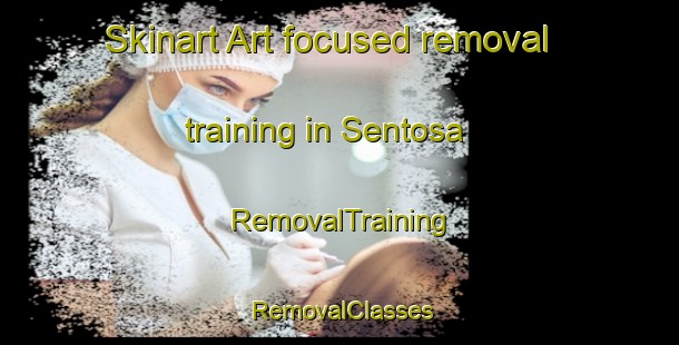 Skinart Art-focused removal training in Sentosa | RemovalTraining | RemovalClasses | SkinartTraining-Singapore