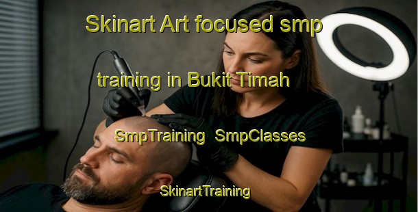 Skinart Art-focused smp training in Bukit Timah | SmpTraining | SmpClasses | SkinartTraining-Singapore