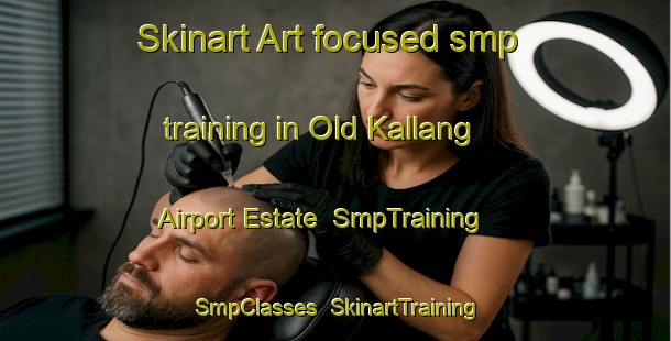 Skinart Art-focused smp training in Old Kallang Airport Estate | SmpTraining | SmpClasses | SkinartTraining-Singapore