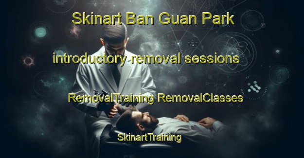 Skinart Ban Guan Park introductory removal sessions | #RemovalTraining #RemovalClasses #SkinartTraining-Singapore