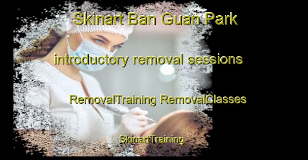 Skinart Ban Guan Park introductory removal sessions | #RemovalTraining #RemovalClasses #SkinartTraining-Singapore