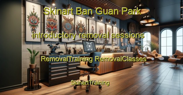 Skinart Ban Guan Park introductory removal sessions | #RemovalTraining #RemovalClasses #SkinartTraining-Singapore