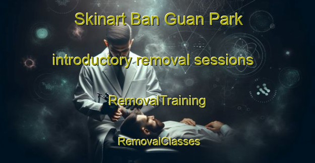 Skinart Ban Guan Park introductory removal sessions | RemovalTraining | RemovalClasses | SkinartTraining-Singapore