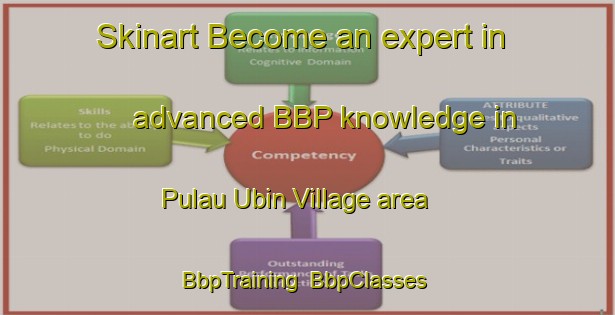 Skinart Become an expert in advanced BBP knowledge in Pulau Ubin Village area | BbpTraining | BbpClasses | SkinartTraining-Singapore