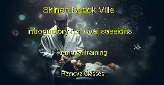 Skinart Bedok Ville introductory removal sessions | RemovalTraining | RemovalClasses | SkinartTraining-Singapore