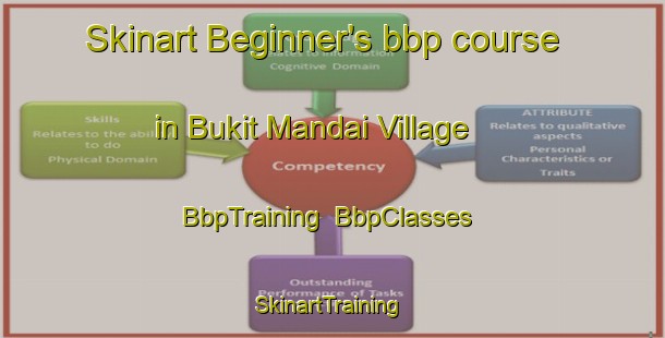 Skinart Beginner's bbp course in Bukit Mandai Village | BbpTraining | BbpClasses | SkinartTraining-Singapore