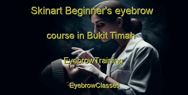 Skinart Beginner's eyebrow course in Bukit Timah | EyebrowTraining | EyebrowClasses | SkinartTraining-Singapore