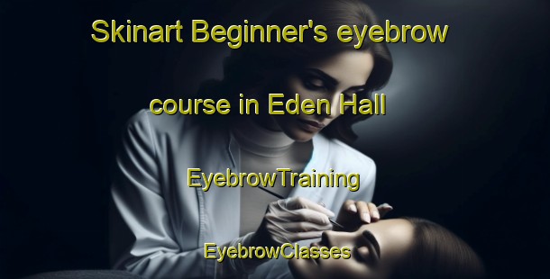 Skinart Beginner's eyebrow course in Eden Hall | EyebrowTraining | EyebrowClasses | SkinartTraining-Singapore
