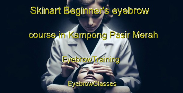 Skinart Beginner's eyebrow course in Kampong Pasir Merah | EyebrowTraining | EyebrowClasses | SkinartTraining-Singapore