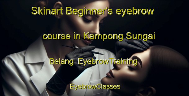Skinart Beginner's eyebrow course in Kampong Sungai Belang | EyebrowTraining | EyebrowClasses | SkinartTraining-Singapore