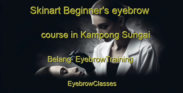 Skinart Beginner's eyebrow course in Kampong Sungai Belang | EyebrowTraining | EyebrowClasses | SkinartTraining-Singapore