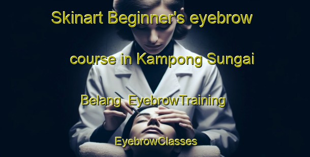 Skinart Beginner's eyebrow course in Kampong Sungai Belang | EyebrowTraining | EyebrowClasses | SkinartTraining-Singapore