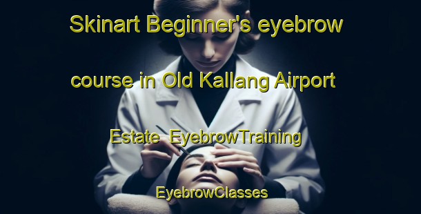 Skinart Beginner's eyebrow course in Old Kallang Airport Estate | EyebrowTraining | EyebrowClasses | SkinartTraining-Singapore