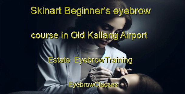Skinart Beginner's eyebrow course in Old Kallang Airport Estate | EyebrowTraining | EyebrowClasses | SkinartTraining-Singapore