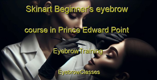 Skinart Beginner's eyebrow course in Prince Edward Point | EyebrowTraining | EyebrowClasses | SkinartTraining-Singapore
