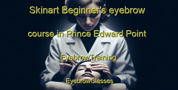 Skinart Beginner's eyebrow course in Prince Edward Point | EyebrowTraining | EyebrowClasses | SkinartTraining-Singapore