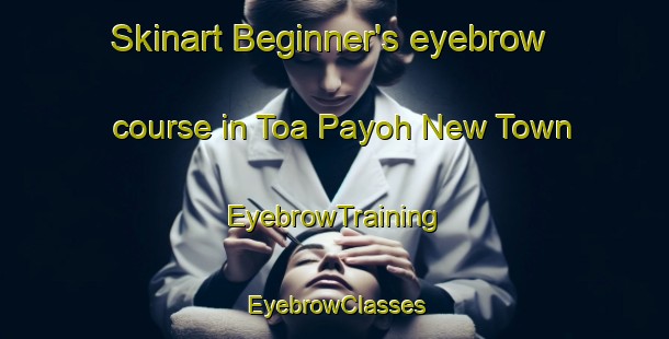 Skinart Beginner's eyebrow course in Toa Payoh New Town | EyebrowTraining | EyebrowClasses | SkinartTraining-Singapore